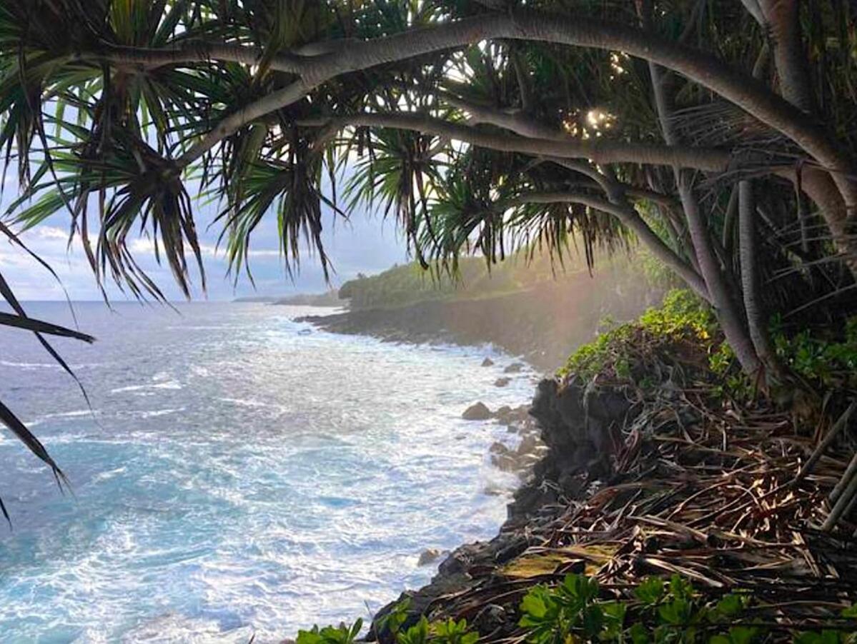 Seaside House And Aloha Bungalow Pahoa Exteriér fotografie